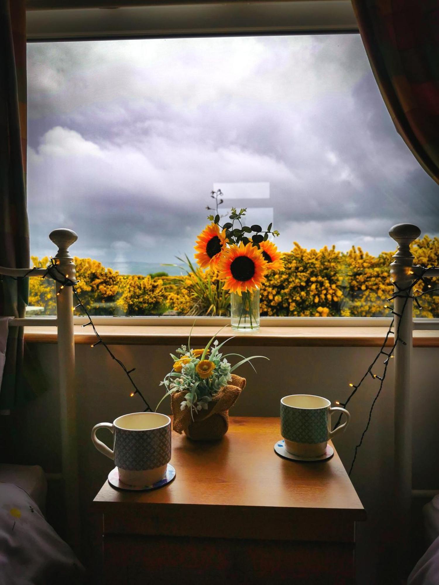 Causeway Coast Country Cottage, Pet-Friendly Ballycastle Zewnętrze zdjęcie